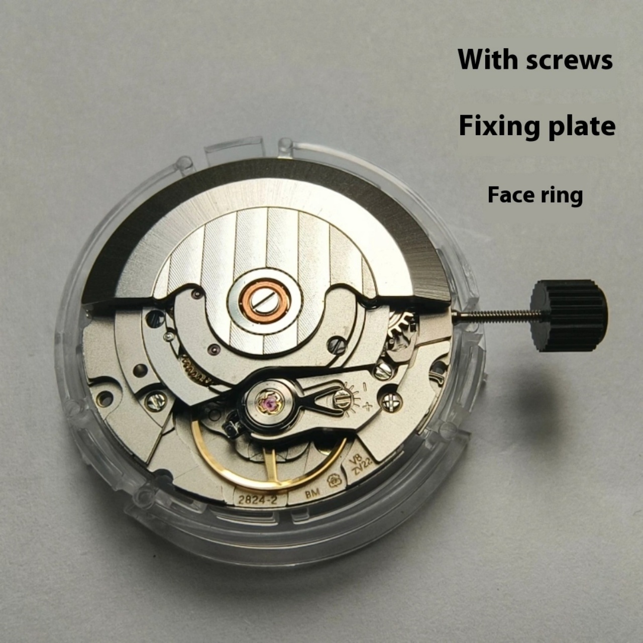 V8 Stainless Steel Eco-Friendl - Watch V8 评论和价格