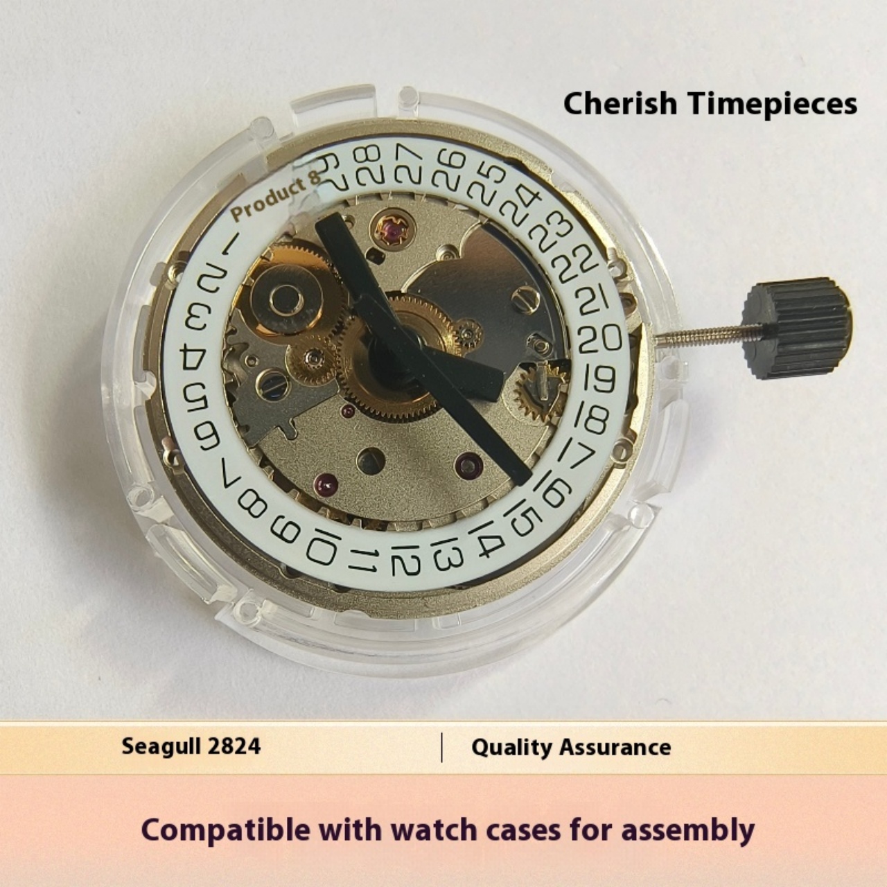 V8 Stainless Steel Eco-Friendl - Watch V8 评论和价格